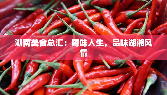 湖南美食总汇：辣味人生，品味湖湘风情