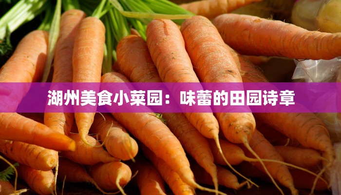 湖州美食小菜园：味蕾的田园诗章
