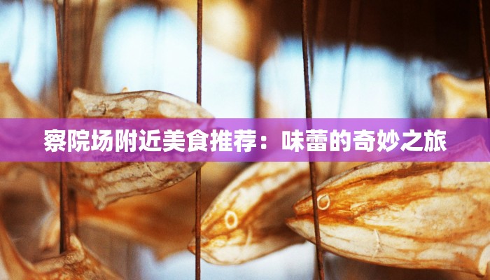 察院场附近美食推荐：味蕾的奇妙之旅