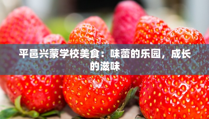 平邑兴蒙学校美食：味蕾的乐园，成长的滋味