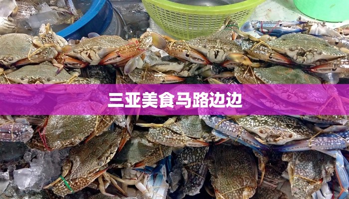 三亚美食马路边边