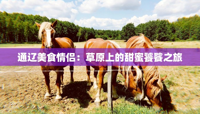 通辽美食情侣：草原上的甜蜜饕餮之旅