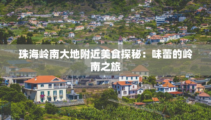 珠海岭南大地附近美食探秘：味蕾的岭南之旅