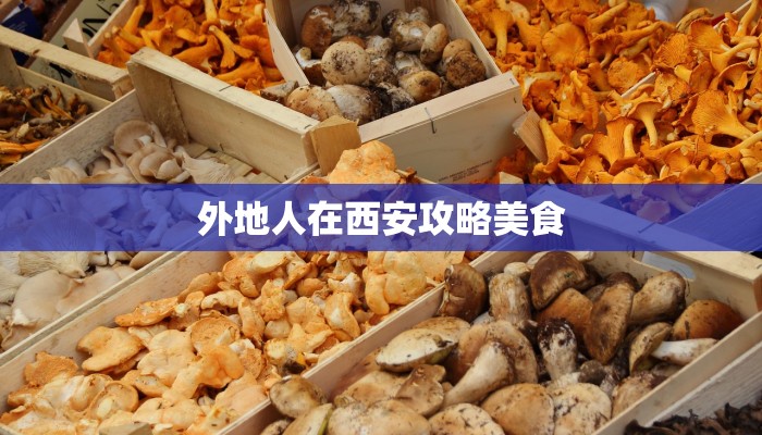外地人在西安攻略美食