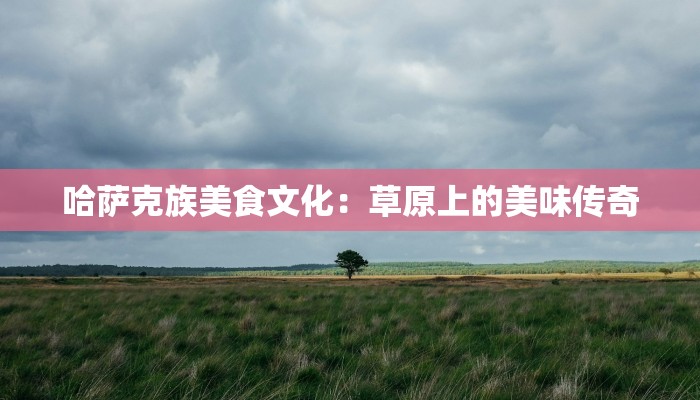 哈萨克族美食文化：草原上的美味传奇