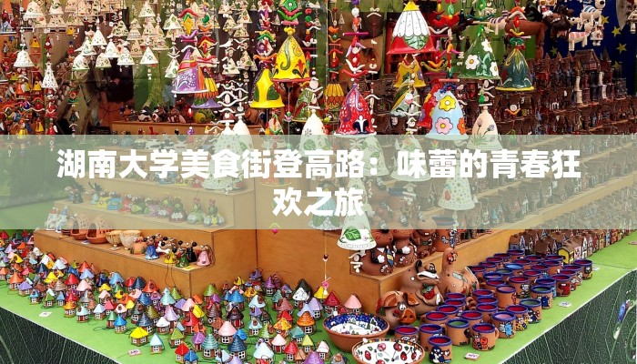 湖南大学美食街登高路：味蕾的青春狂欢之旅