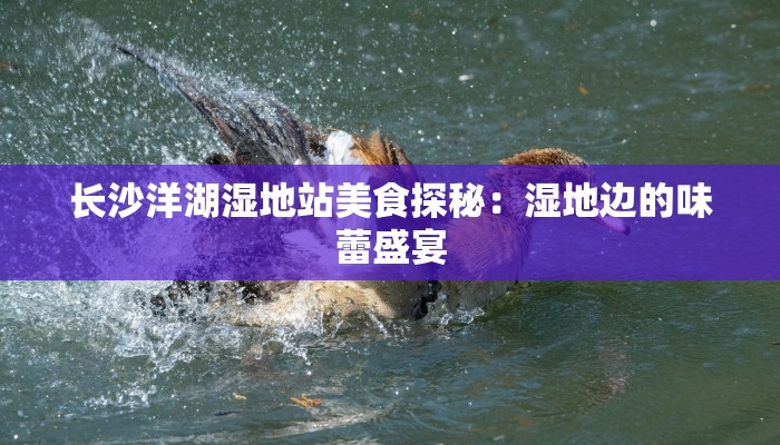 长沙洋湖湿地站美食探秘：湿地边的味蕾盛宴
