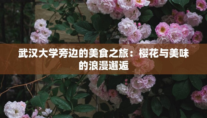 武汉大学旁边的美食之旅：樱花与美味的浪漫邂逅