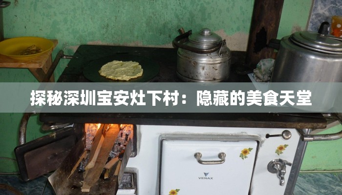 探秘深圳宝安灶下村：隐藏的美食天堂