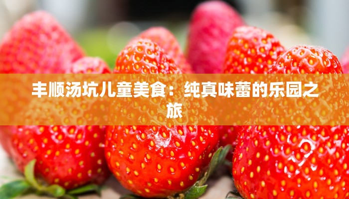 丰顺汤坑儿童美食：纯真味蕾的乐园之旅