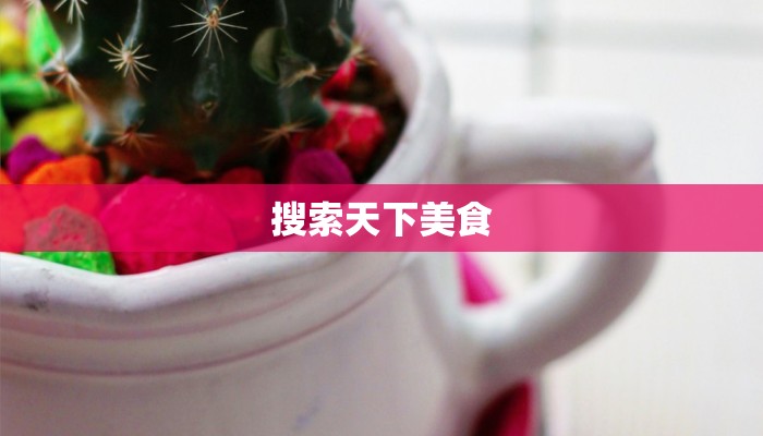 搜索天下美食