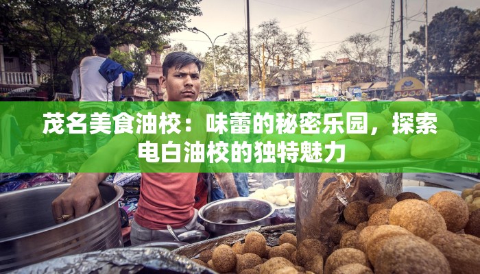 茂名美食油校：味蕾的秘密乐园，探索电白油校的独特魅力
