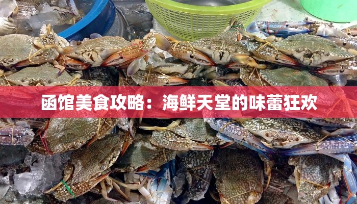 函馆美食攻略：海鲜天堂的味蕾狂欢