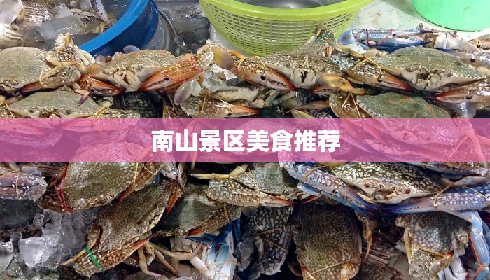 南山景区美食推荐
