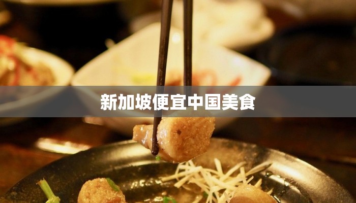 新加坡便宜中国美食