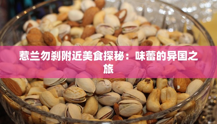 惹兰勿刹附近美食探秘：味蕾的异国之旅