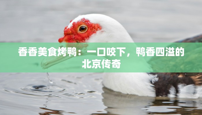 香香美食烤鸭：一口咬下，鸭香四溢的北京传奇