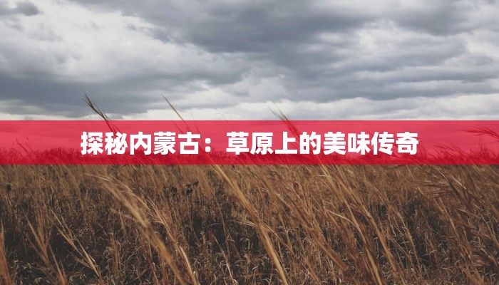 探秘内蒙古：草原上的美味传奇