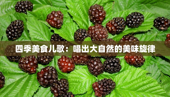 四季美食儿歌：唱出大自然的美味旋律
