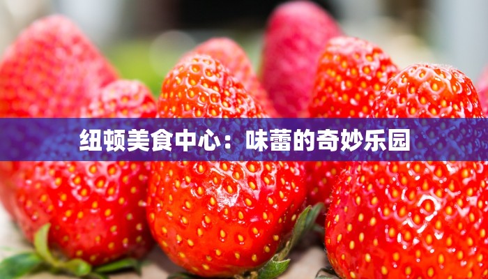 纽顿美食中心：味蕾的奇妙乐园