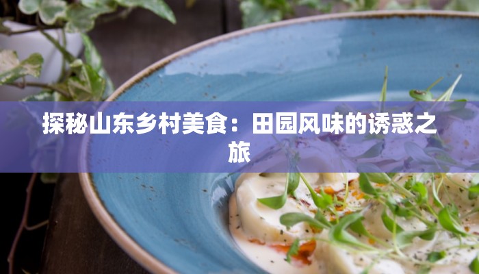 探秘山东乡村美食：田园风味的诱惑之旅