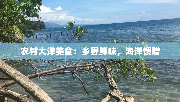 农村大洋美食:乡野鲜味,海洋馈赠 农村大洋美食:乡野鲜味,海洋馈赠