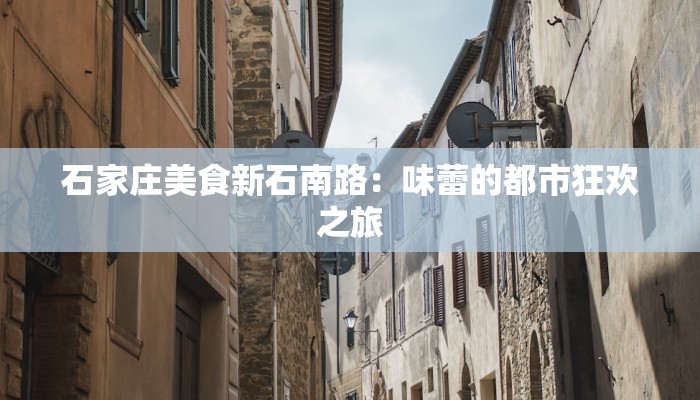 石家庄美食新石南路:味蕾的都市狂欢之旅 石家庄美食新石南路:味蕾的都市狂欢之旅