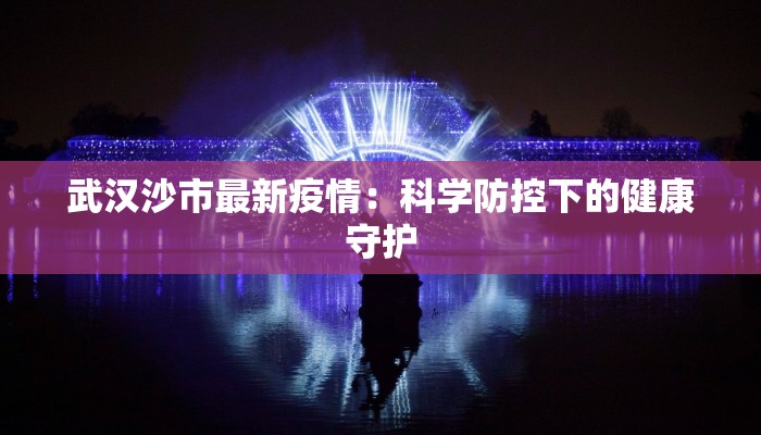 武汉沙市最新疫情：科学防控下的健康守护