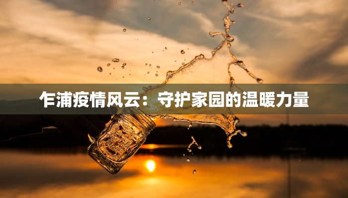 乍浦疫情风云：守护家园的温暖力量