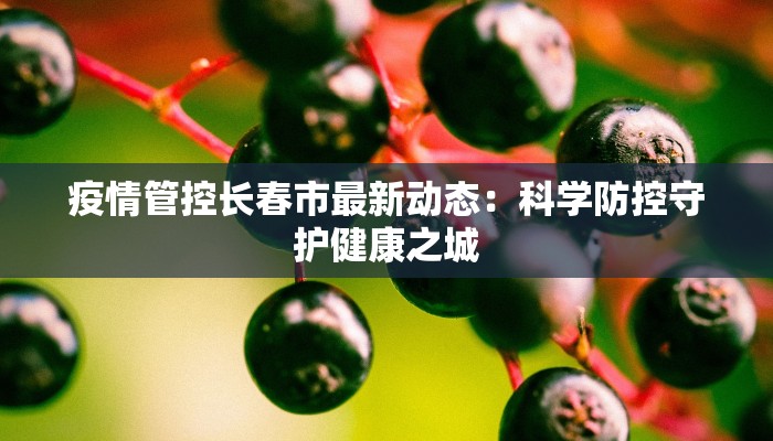 疫情管控长春市最新动态：科学防控守护健康之城