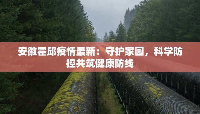 安徽霍邱疫情最新：守护家园，科学防控共筑健康防线