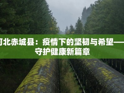 河北赤城县：疫情下的坚韧与希望——守护健康新篇章