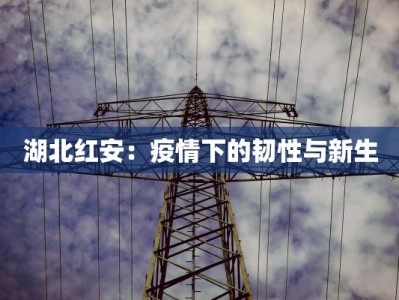 湖北红安：疫情下的韧性与新生