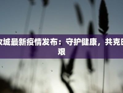 马岛疫情最新动向情况