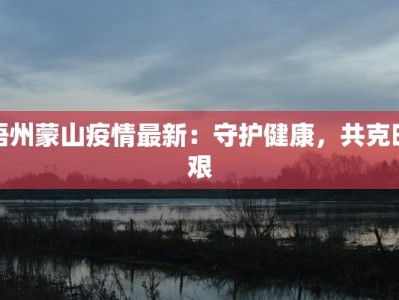 梧州蒙山疫情最新：守护健康，共克时艰
