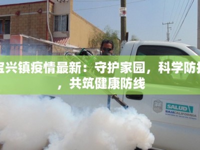 宝兴镇疫情最新：守护家园，科学防控，共筑健康防线