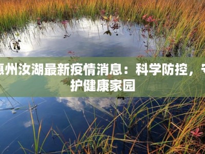 惠州汝湖最新疫情消息：科学防控，守护健康家园