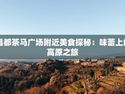 昌都茶马广场附近美食探秘：味蕾上的高原之旅