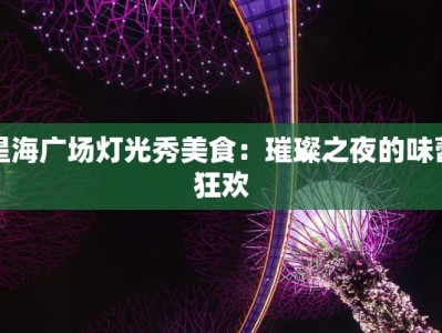 星海广场灯光秀美食：璀璨之夜的味蕾狂欢