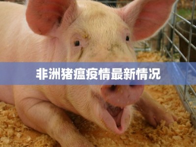 上海七日疫情最新情况