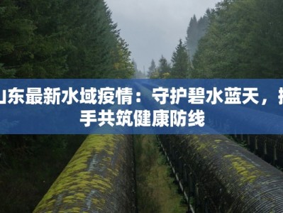 山东最新水域疫情：守护碧水蓝天，携手共筑健康防线