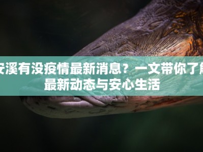 安溪有没疫情最新消息？一文带你了解最新动态与安心生活