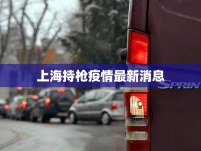 上海持枪疫情最新消息