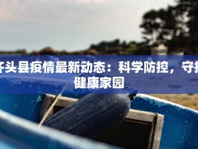 齐头县疫情最新动态：科学防控，守护健康家园