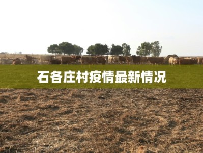 石各庄村疫情最新情况