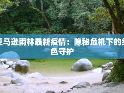 亚马逊雨林最新疫情：隐秘危机下的绿色守护