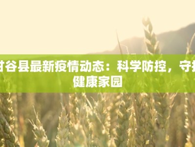 甘谷县最新疫情动态：科学防控，守护健康家园