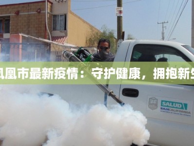 凤凰市最新疫情：守护健康，拥抱新生