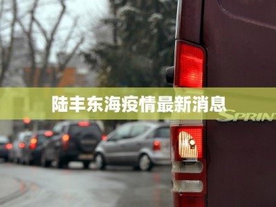 陆丰东海疫情最新消息