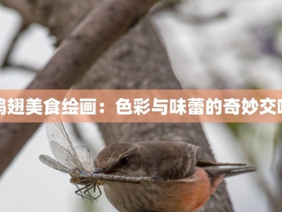 鸡翅美食绘画：色彩与味蕾的奇妙交响